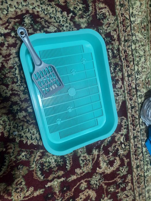 Продам лоток кошачий