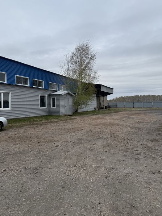 Убойный пункт для забоя скота