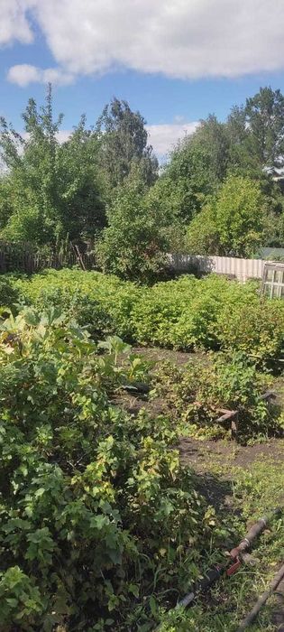 Продам дачу Красный партизан.