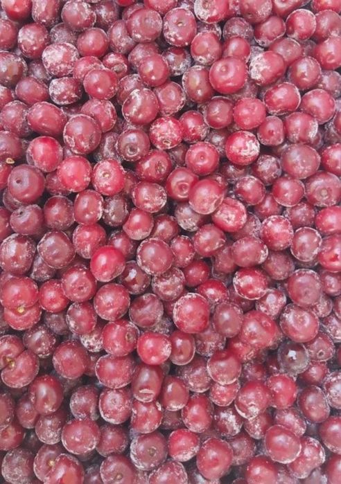 Олча музлатилган. Вишня замороженная