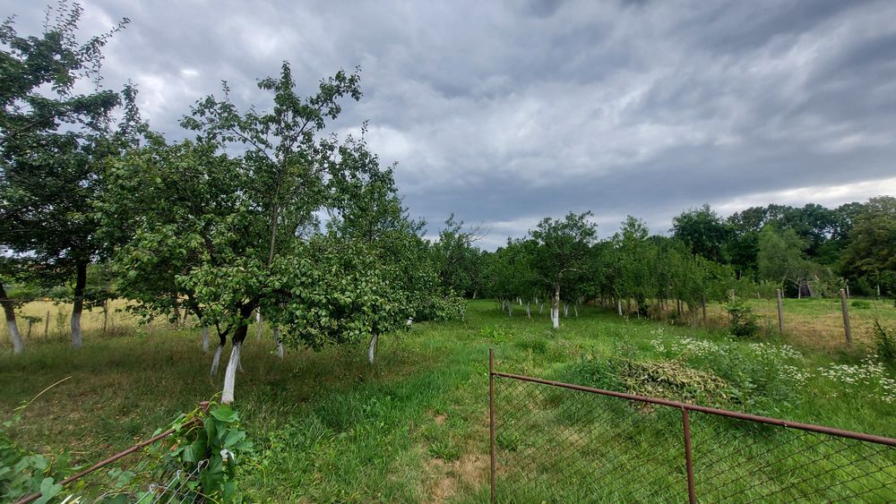 Vând casa în Somcuta Mare