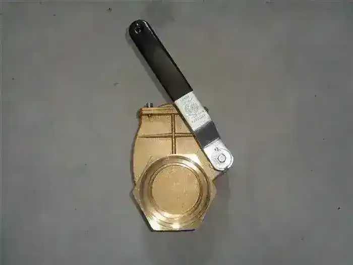 Robinet paleta dubla flansa cu filet de 4" cu maneta vidanja ITALIA