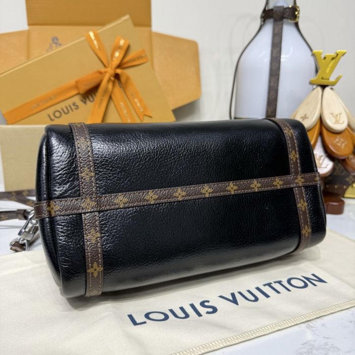 Geanta Louis Vuitton Express MM