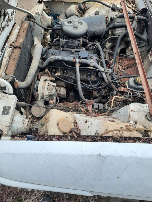 Motor dacia papuc