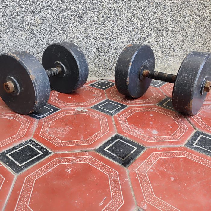 Gantel 30x30kg Гантели
