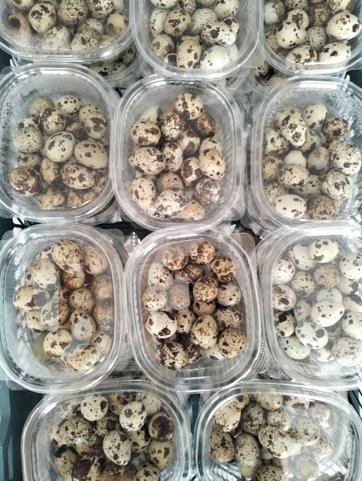 Перепелиные яйцо