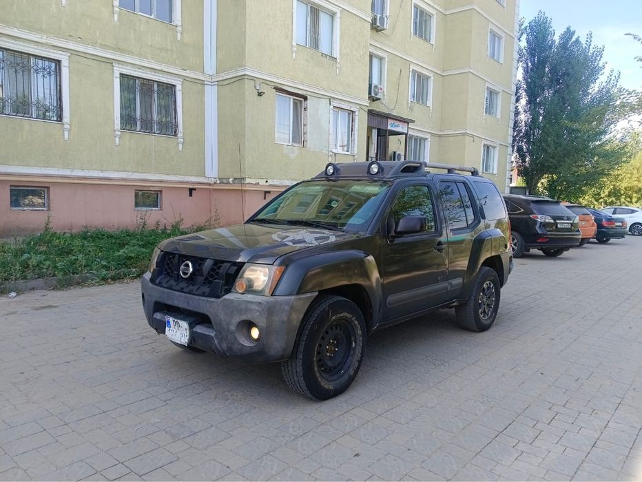 Обменяю н акоров быков