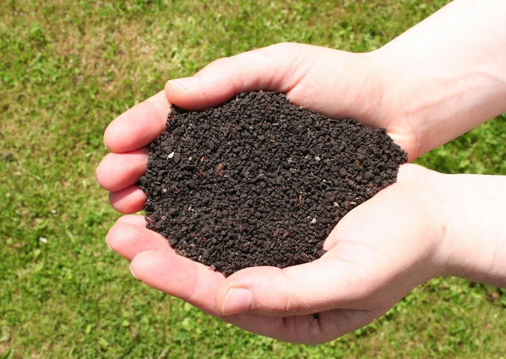 Biyogomus Tabiy ozuqa