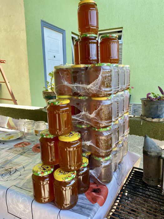 Miere poliflora / rapita