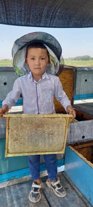 Тоза қозоғистон ва тоғ асаллари