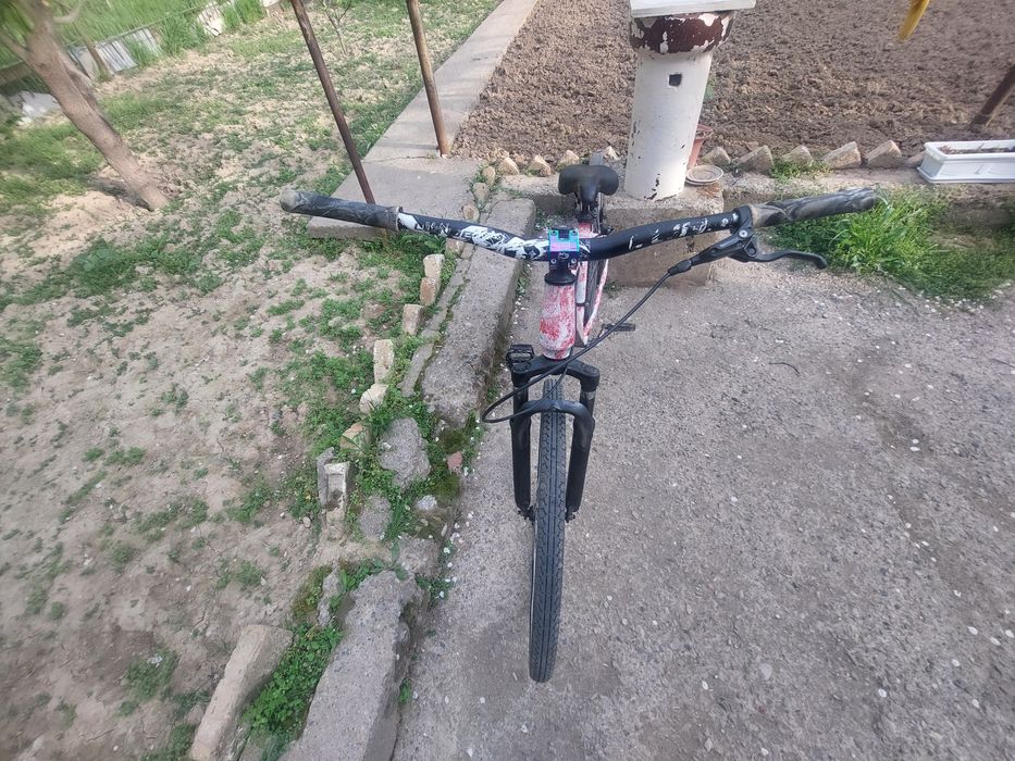 Бразильский дерт-Mtb