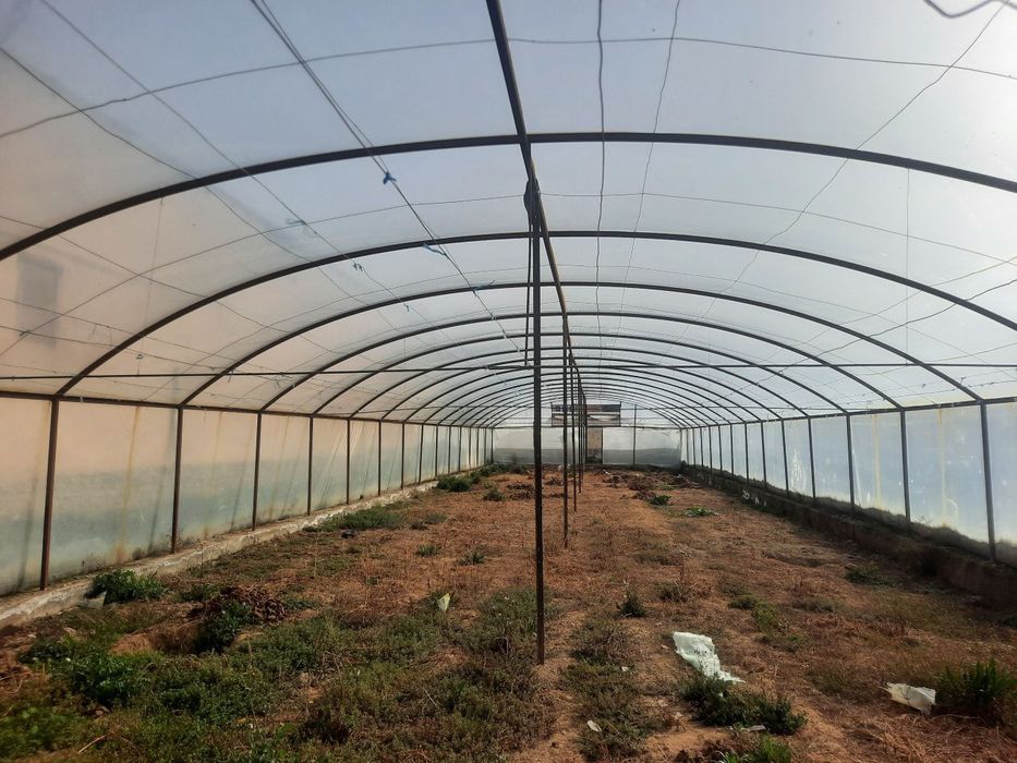 Parnik teplitsa uzunligi 35 metr eni 9metr Jizzaxda sotiladi