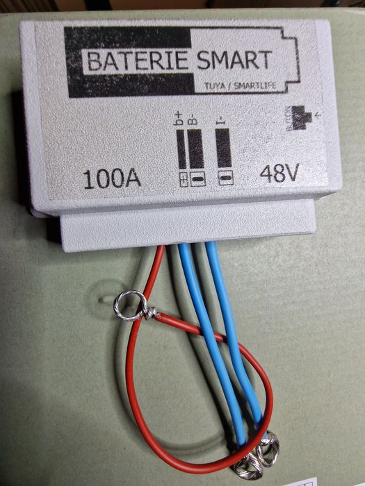 Baterie Smart Tuya 48V 100A smartshunt JK BMS invertor panouri solare