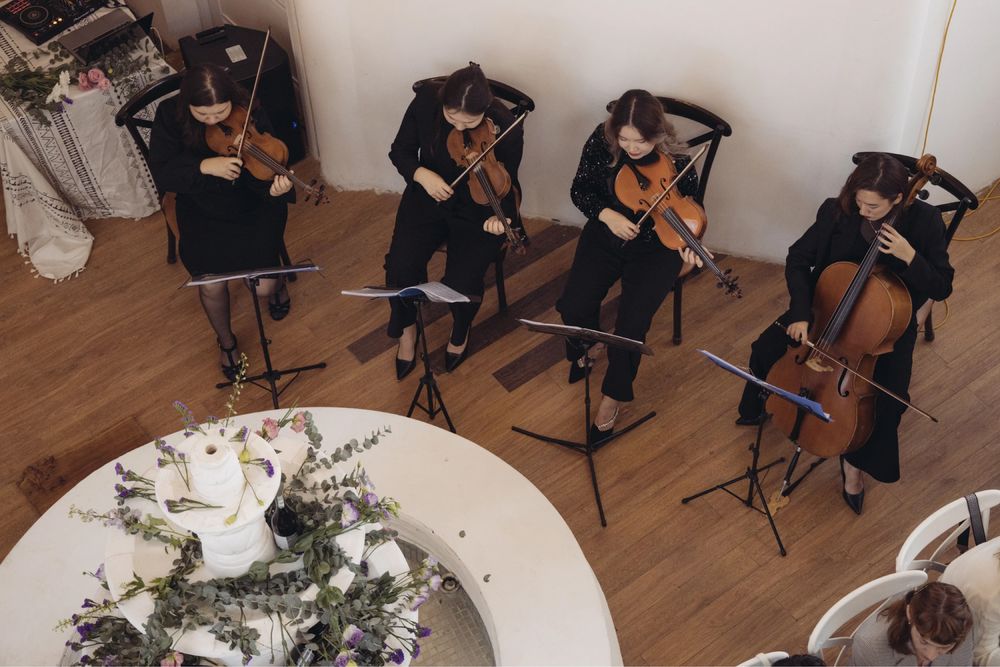 Струнный квартет на встречу гостей, город Астана