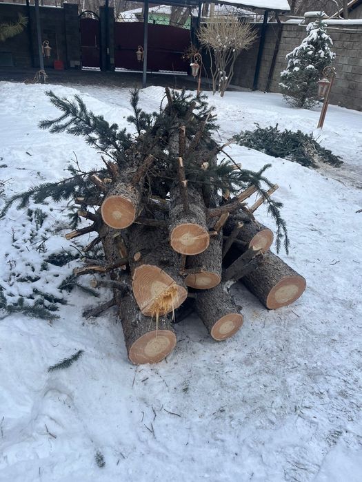 Продаем елку самовызов или яндекс