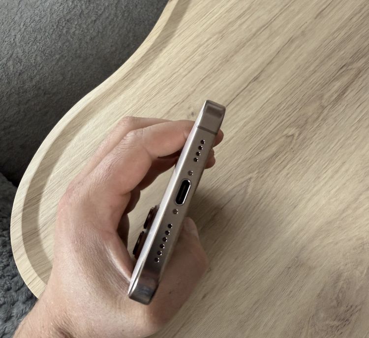 Iphone 16 Pro Max/256Gb/ 100%