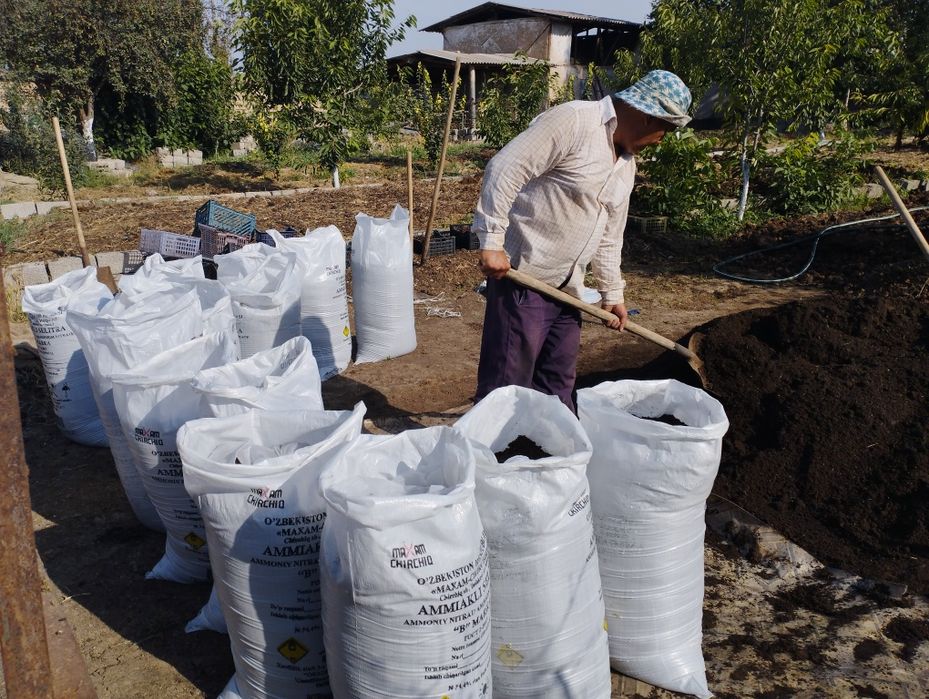 Копланган чириган гунг