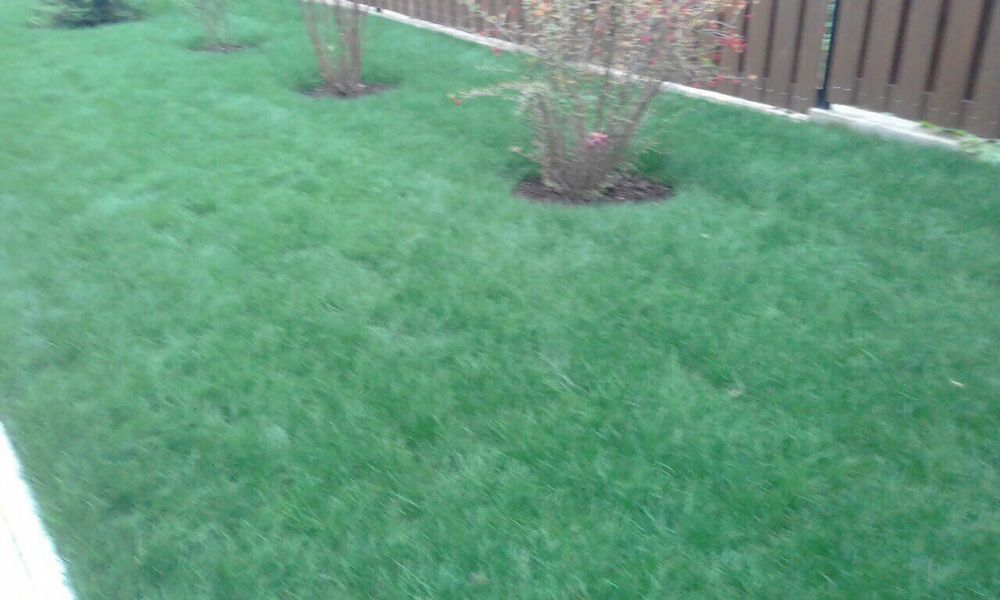 Газон егу жұмыстары Атырау