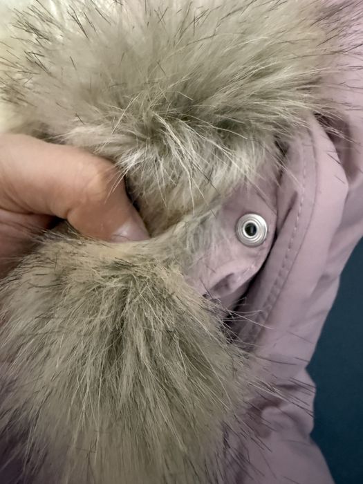 Курька на девочку