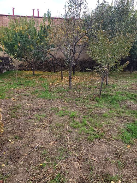 Назарбекда 1 хонали 8 сотих участка