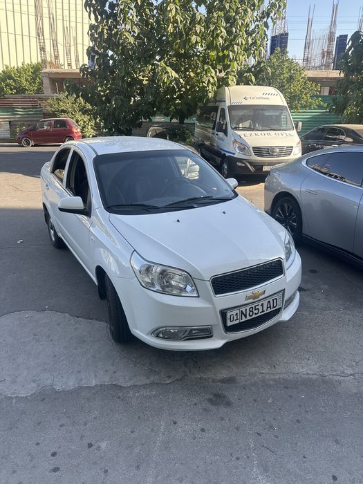 Nexia 3 2 позиция