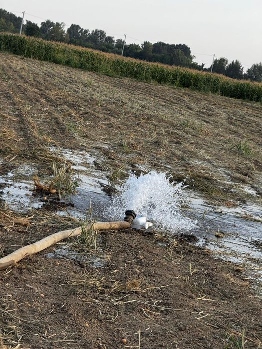 Foraje puțuri apa denisipări prelungiri