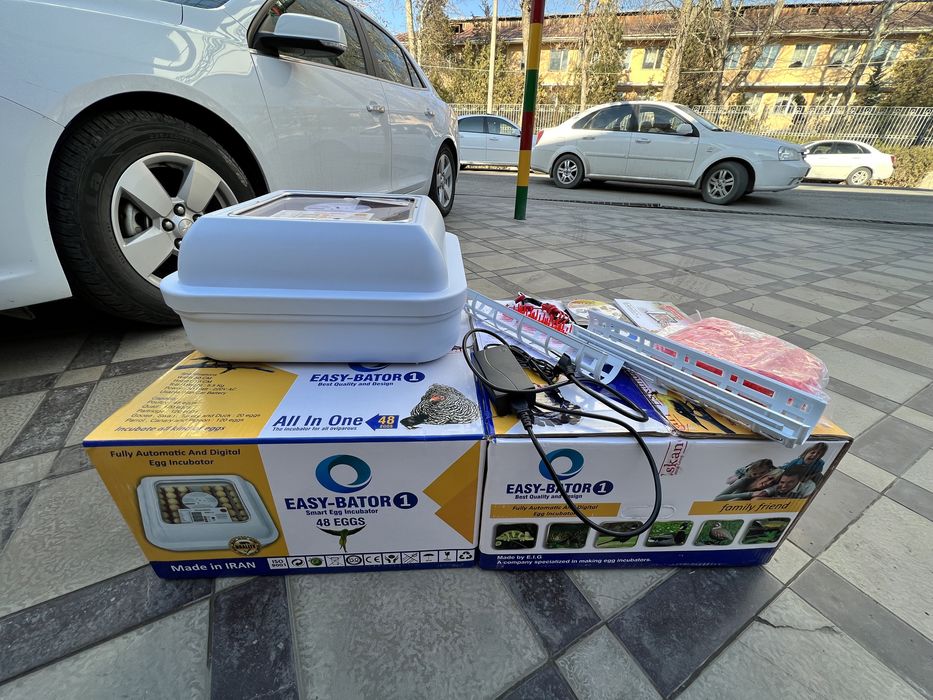 Инкубатор 48 талик бройлер  росс 308 кобб 500 ломан индук несушка