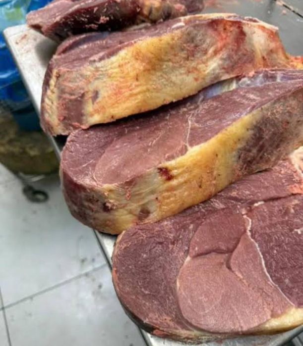 Продам Лошадь откором