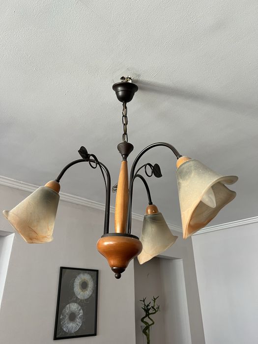 Полилей за таван