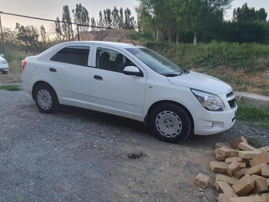 Kobolt toza 2019