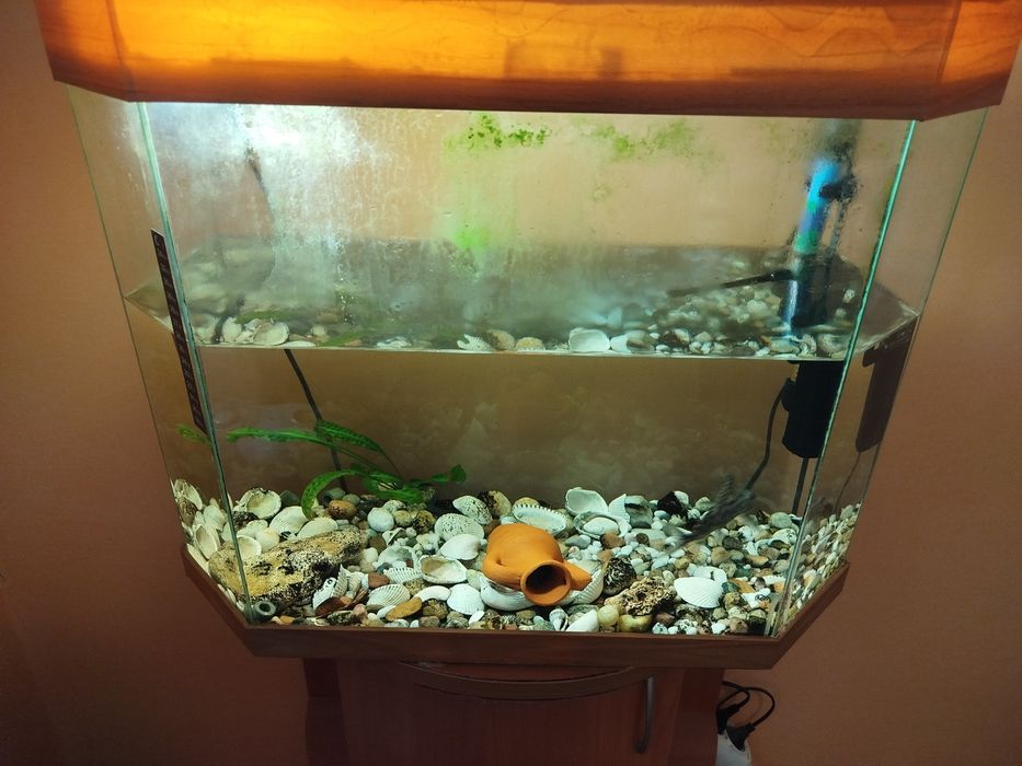 Аквариум със шкаф