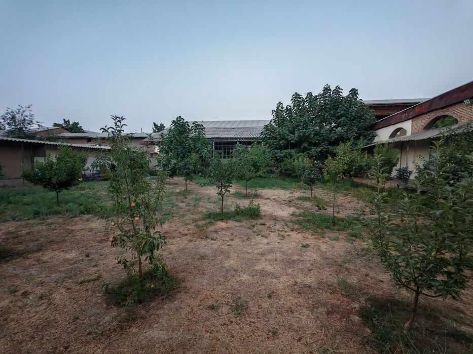 Yangi 16 yilli 12 sotix 6 xona