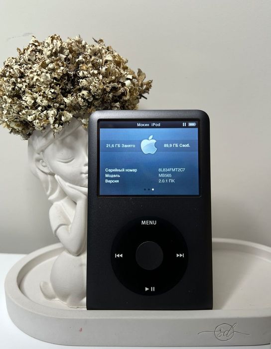 iPod classic 6.5 Gen 120gb