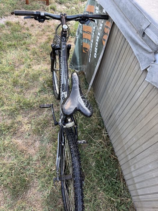 Trek и rockrider