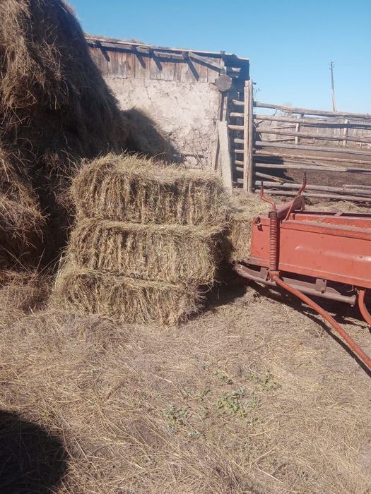 Продам сено тюковое тюки