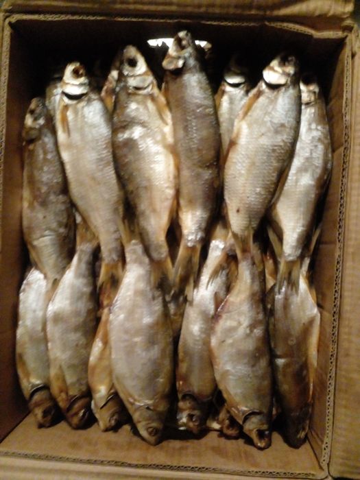 Ревец   Лещ  Чехонь