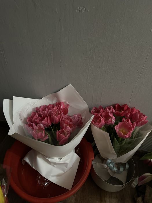 Продается тюльпаны тульпан сатылады