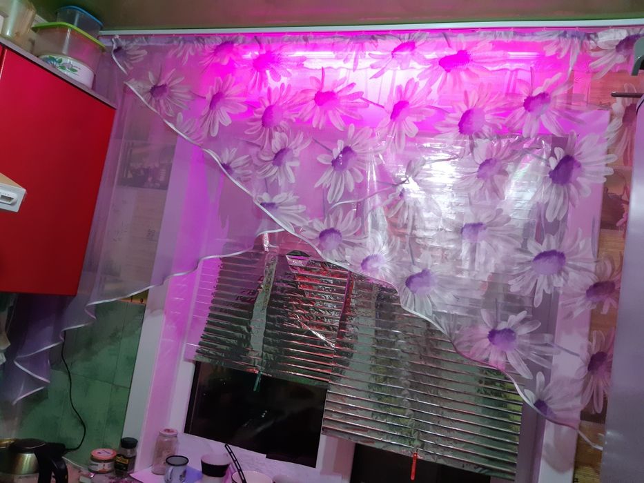 Шторы  для  кухни