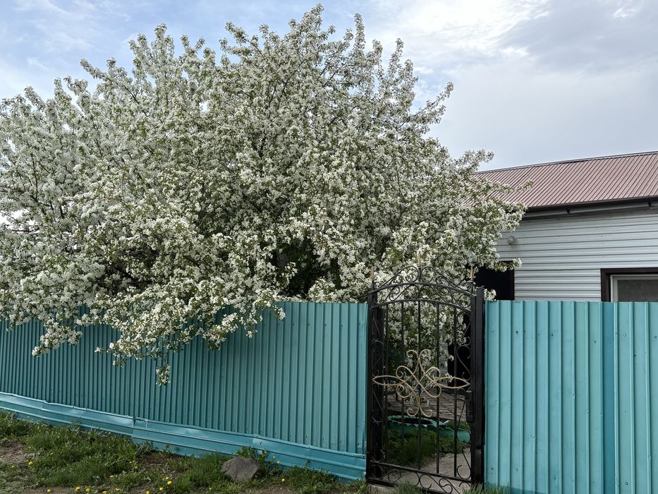 Продам большой дом с удобствами