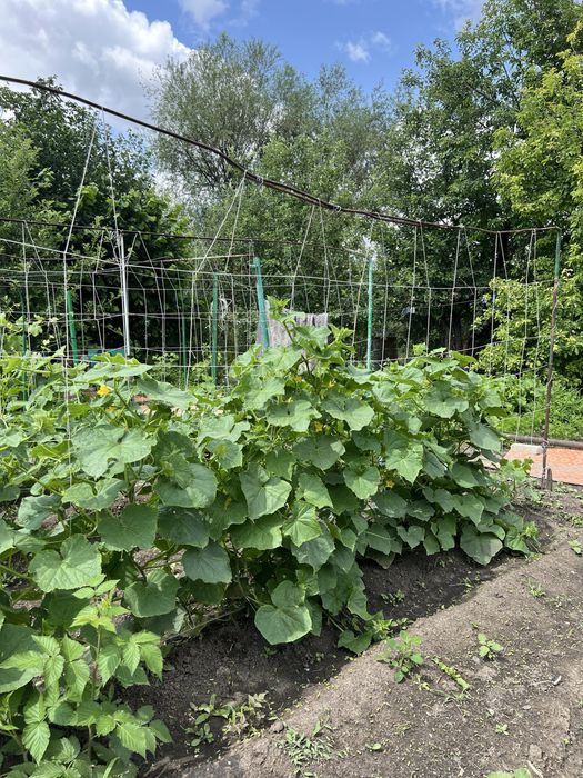 Продам дачу на берегу реки Деркул