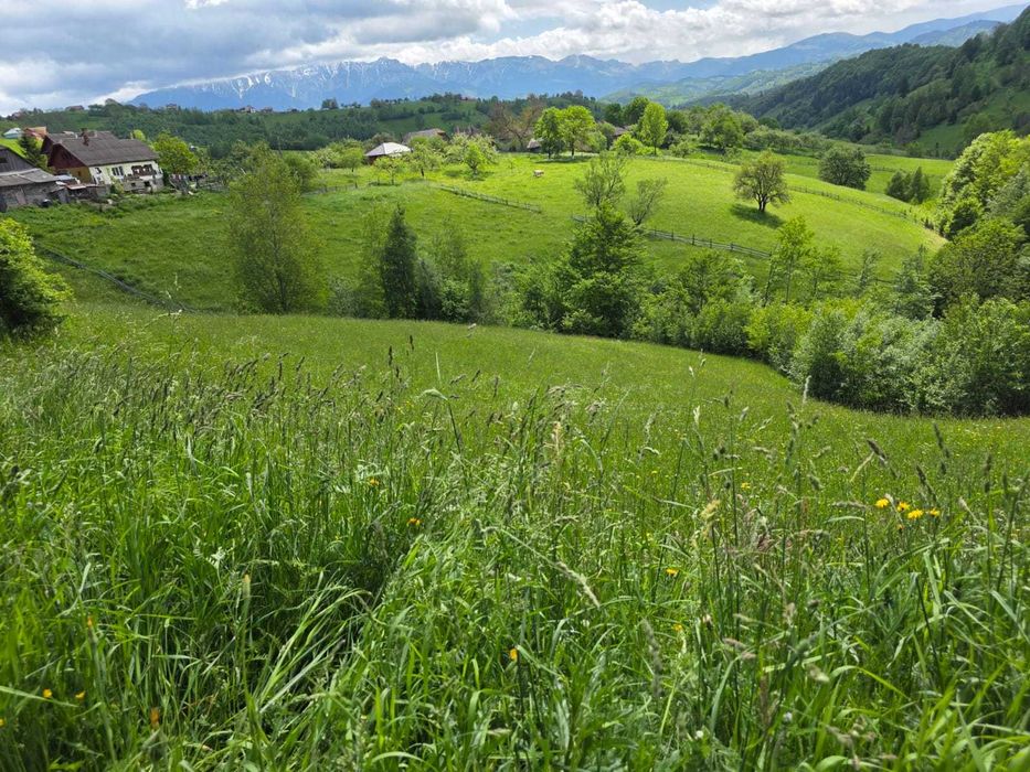 vanzare teren intravilan Sat Magura, Comuna Moieciu, Jud Brasov