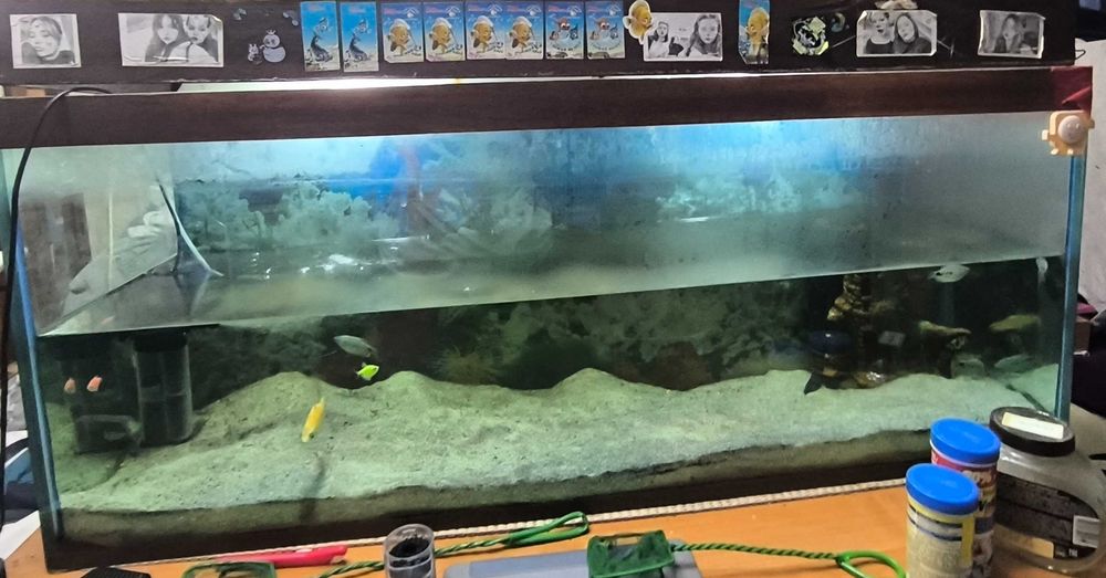 Аквариум с рыбами