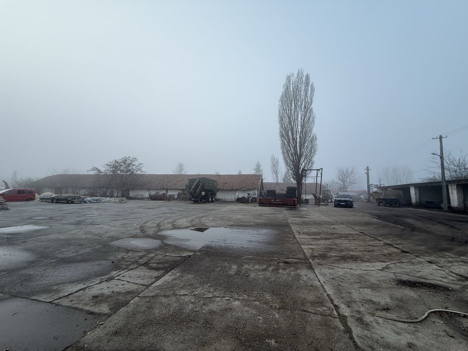 Spatii depozitare//44.000 mp// hale, bascula, moara, pista betonata.