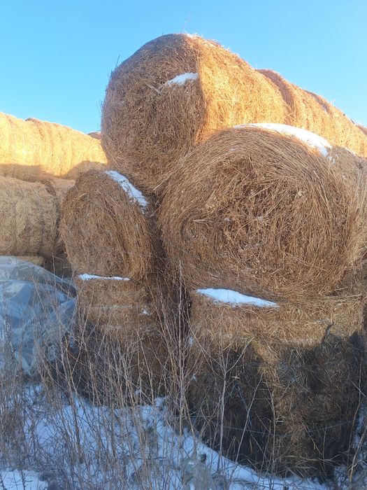 Baloti de fan si lucerna