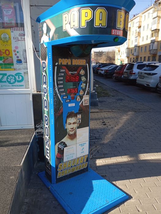 Силомер боксер с местом