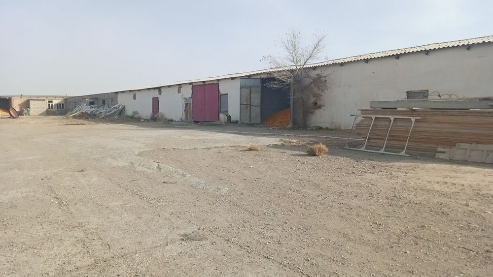 Срочно продам землю 1.7 гектар караул базар дол дороги документы есть.