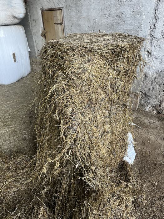 Vand balot infoliati