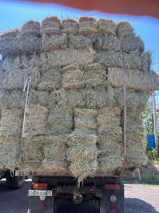 Шоп сатылады (сено садовая)