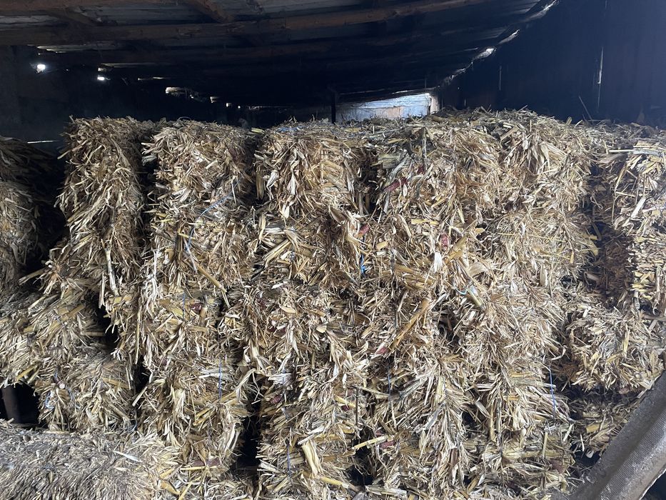 Baloti de frunzari de ciocani cu iarba