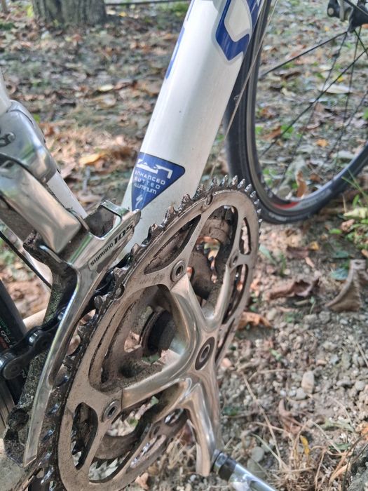 Cursiera  specialized  allez elite